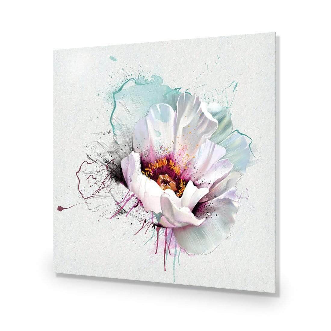 Explosion of White - Wall Art Designs - AU_1073_AS_Q WAD_AP - 030 - EDG_37x37_NONE