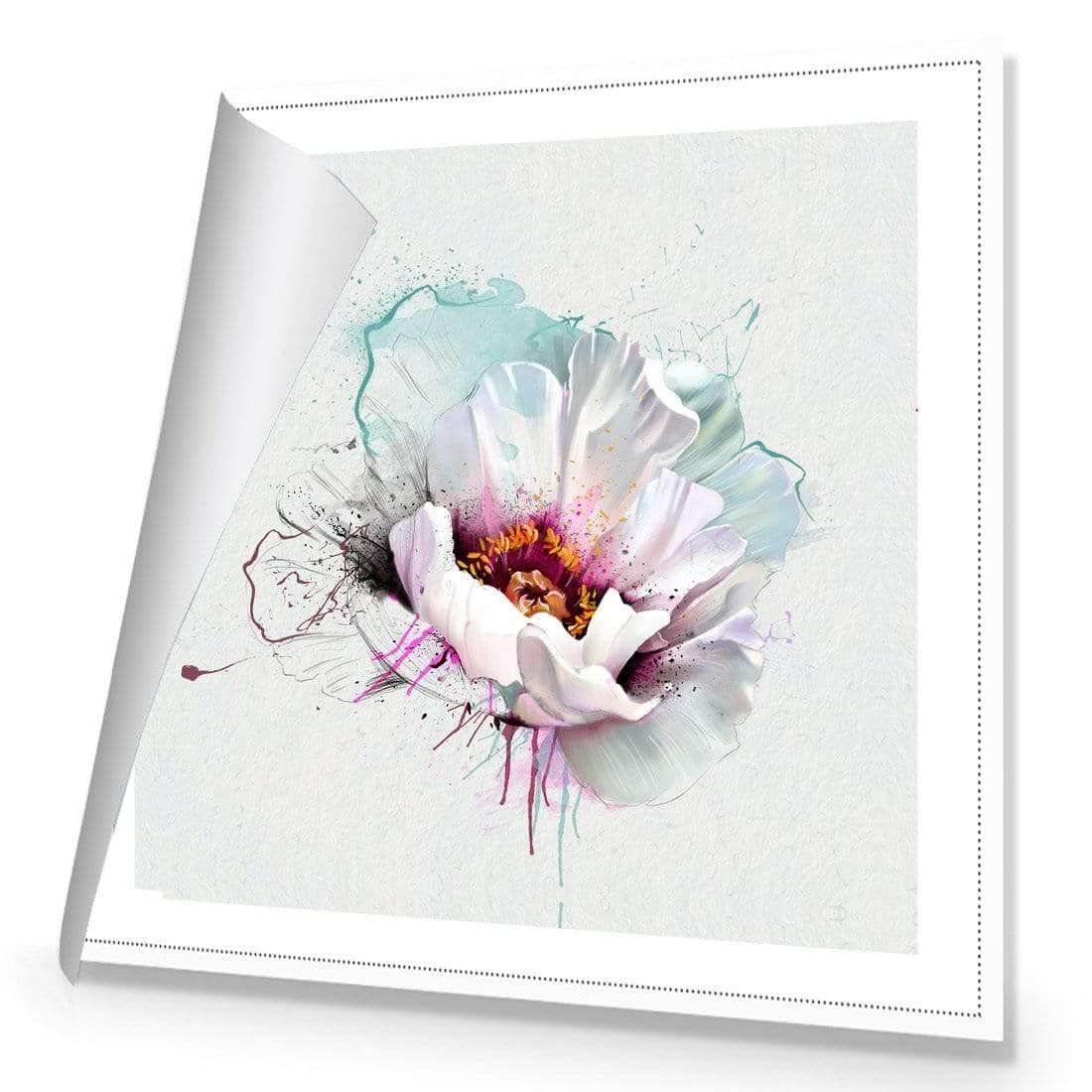 Explosion of White - Wall Art Designs - AU_1073_AS_Q WAD_CP - MPY - 260 - M - R_37x37_NONE