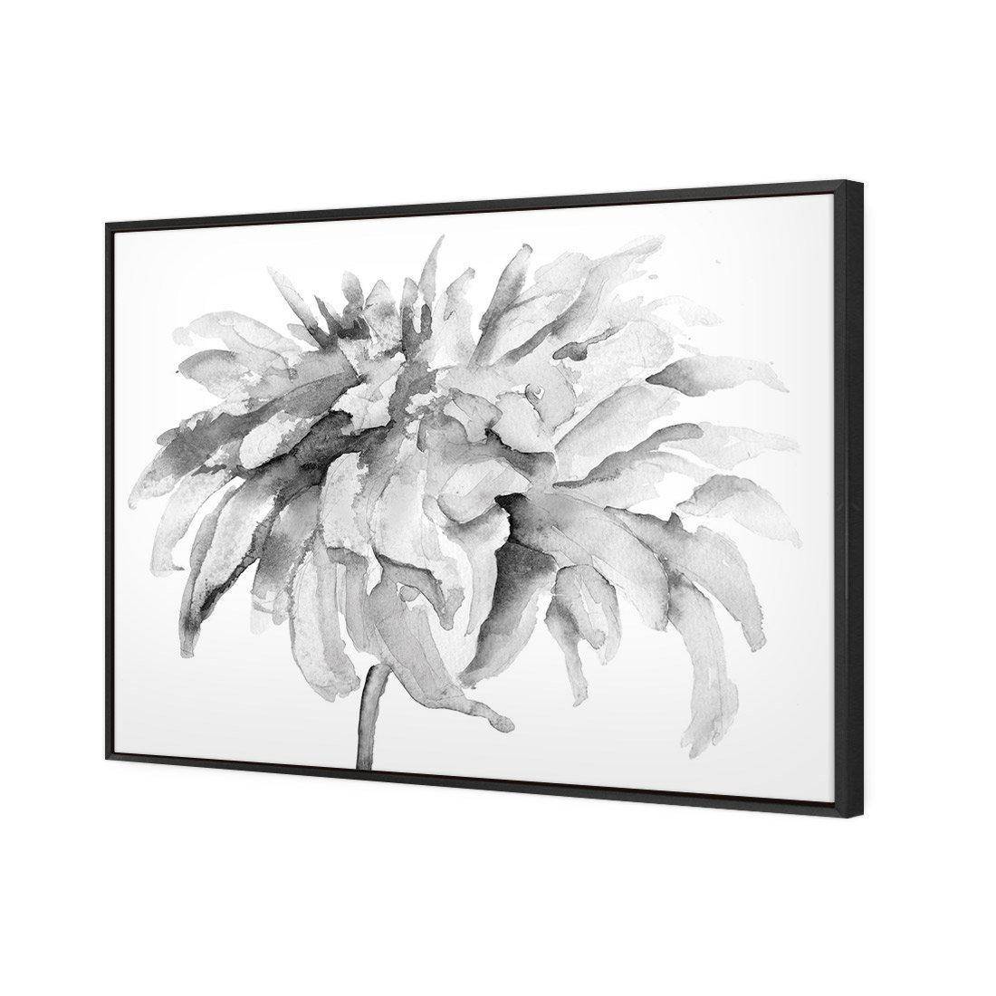 Fairy Floss, B&W | Standard Canvas | Floating Frame | Black