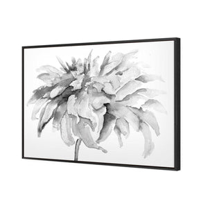 Fairy Floss, B&W | Standard Canvas | Floating Frame | Black