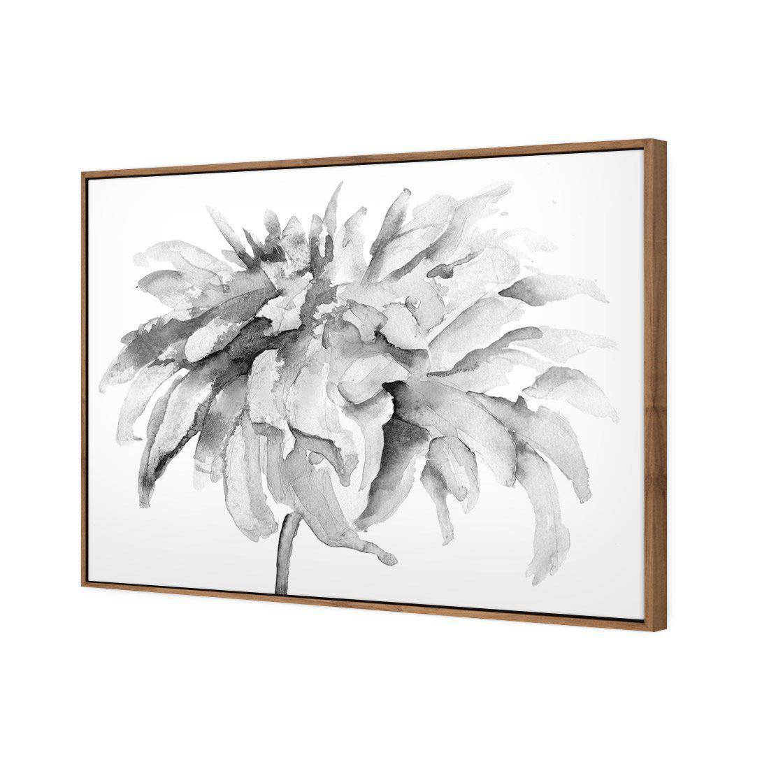 Fairy Floss, B&W Canvas Art - Wall Art Designs - 1737_BR_H WAD_CP - MPY - 260 - M - S - S_45x30_S - 1550 - NAT