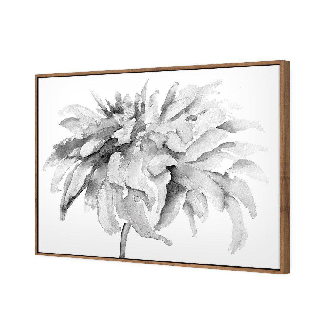 Fairy Floss, B&W | Standard Canvas | Floating Frame | Natural