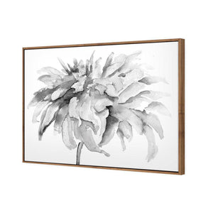 Fairy Floss, B&W | Standard Canvas | Floating Frame | Natural