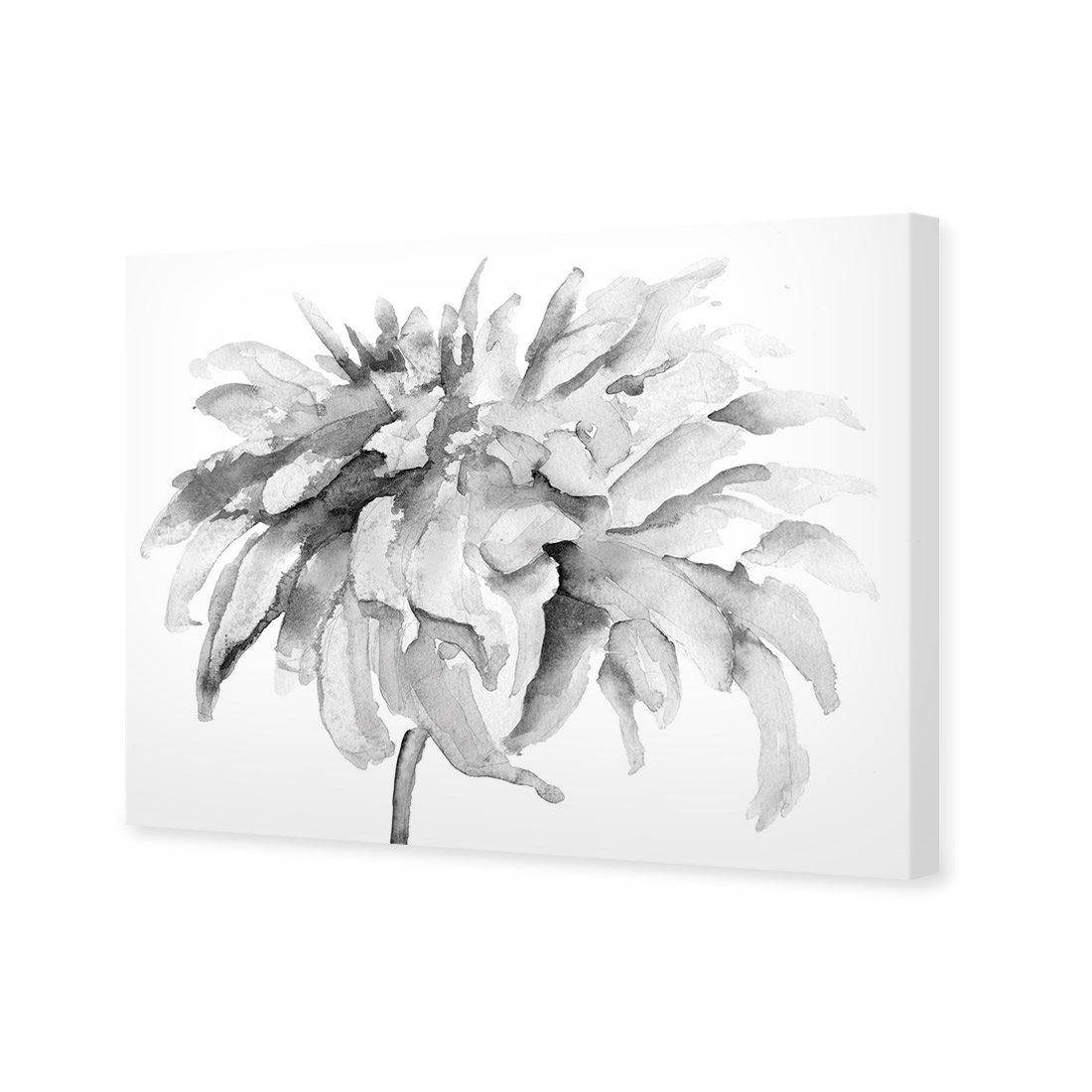 Fairy Floss, B&W | Standard Canvas | No Frame | Stretched Canvas