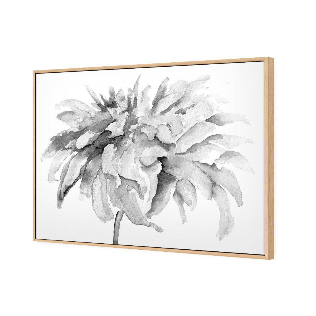 Fairy Floss, B&W Canvas Art - Wall Art Designs - 1737_BR_H WAD_CP - MPY - 260 - M - S - S_45x30_S - 1550 - OAK