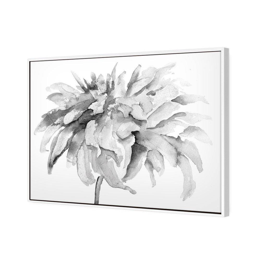 Fairy Floss, B&W | Standard Canvas | Floating Frame | White