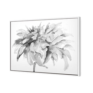 Fairy Floss, B&W | Standard Canvas | Floating Frame | White