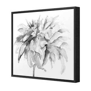 Fairy Floss, B&W, Square | Standard Canvas | Floating Frame | Black