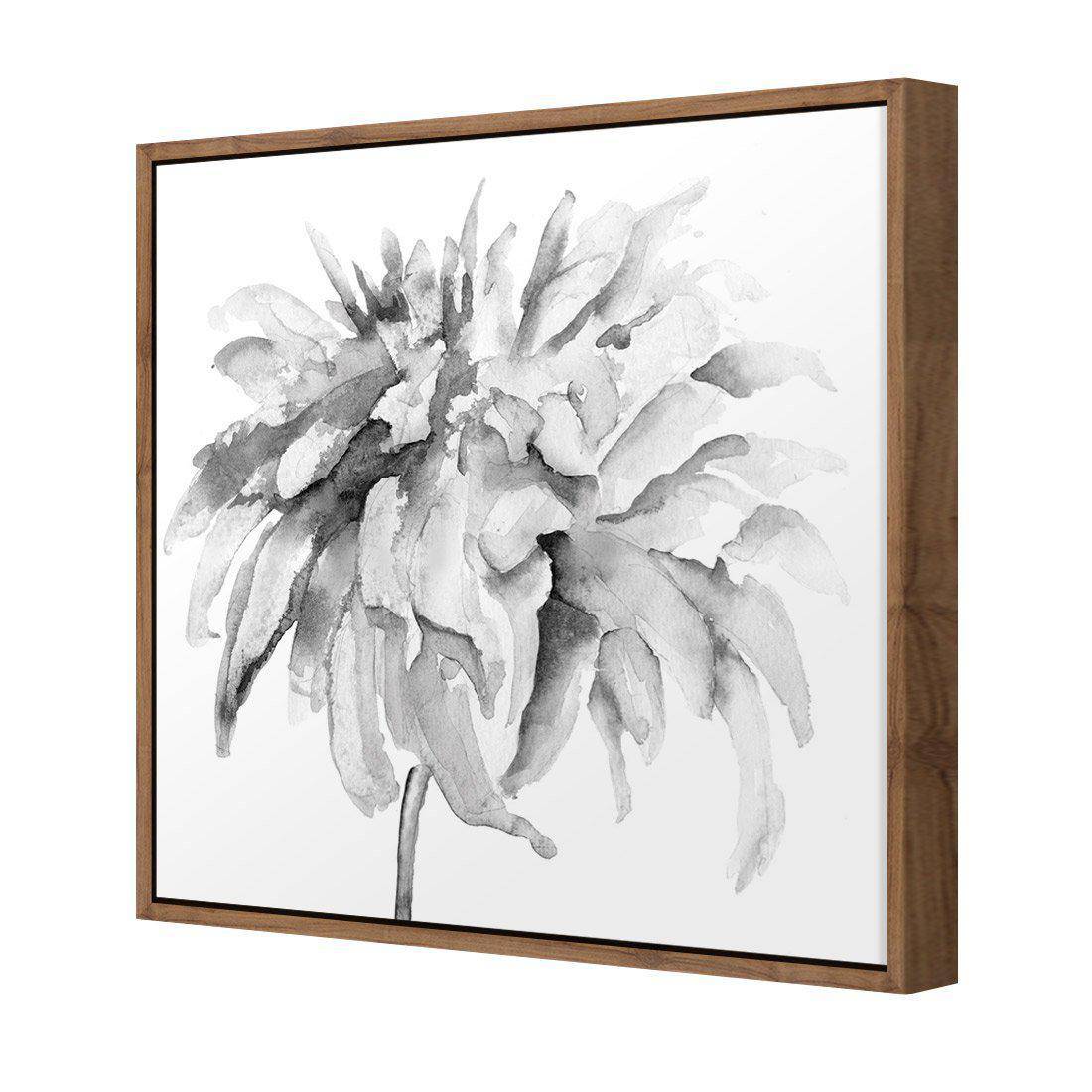 Fairy Floss, B&W, Square | Standard Canvas | Floating Frame | Natural