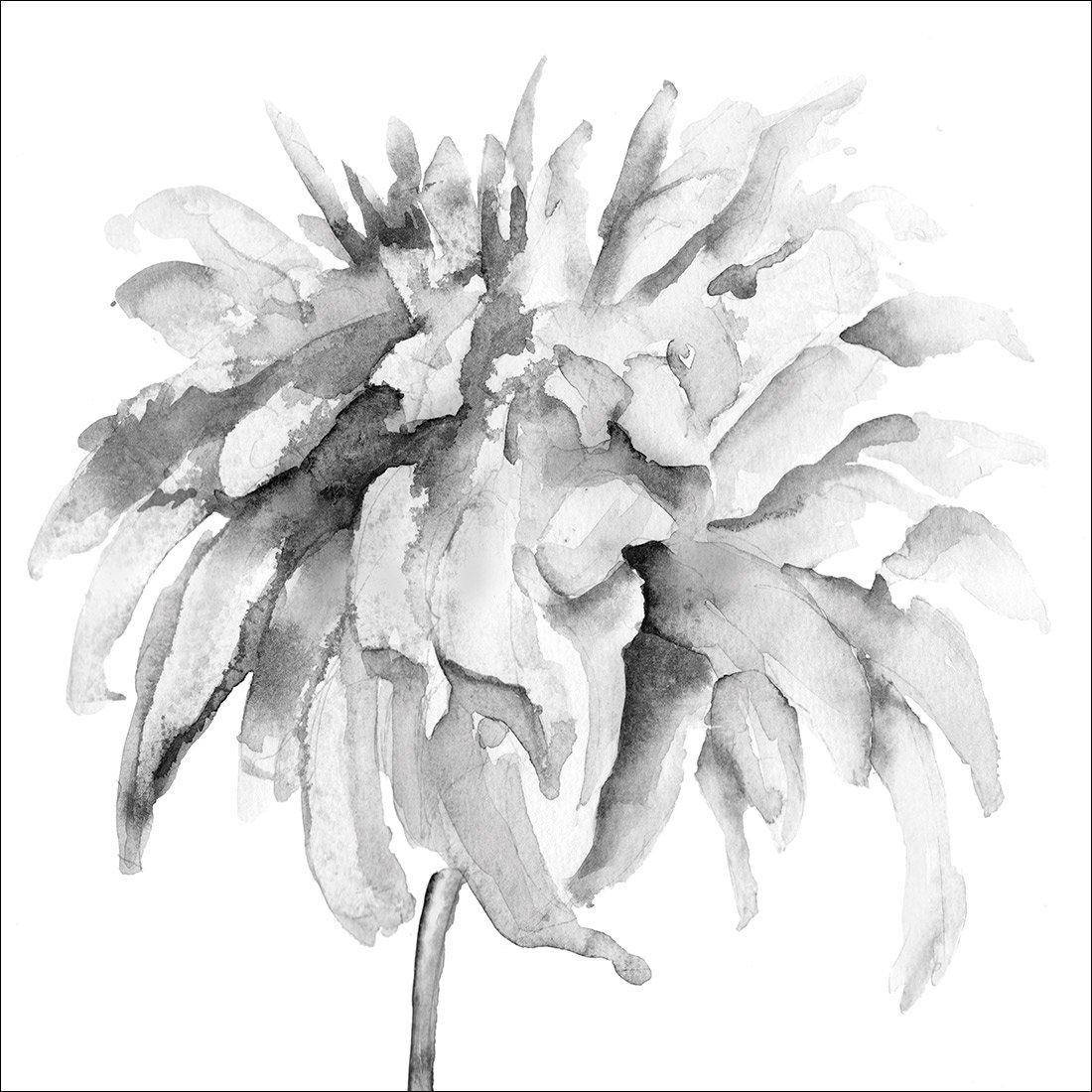 Fairy Floss, B&W, Square Canvas Art - Wall Art Designs - 1737_BS_Q WAD_CP - MPY - 260 - M - S - S_30x30_NONE