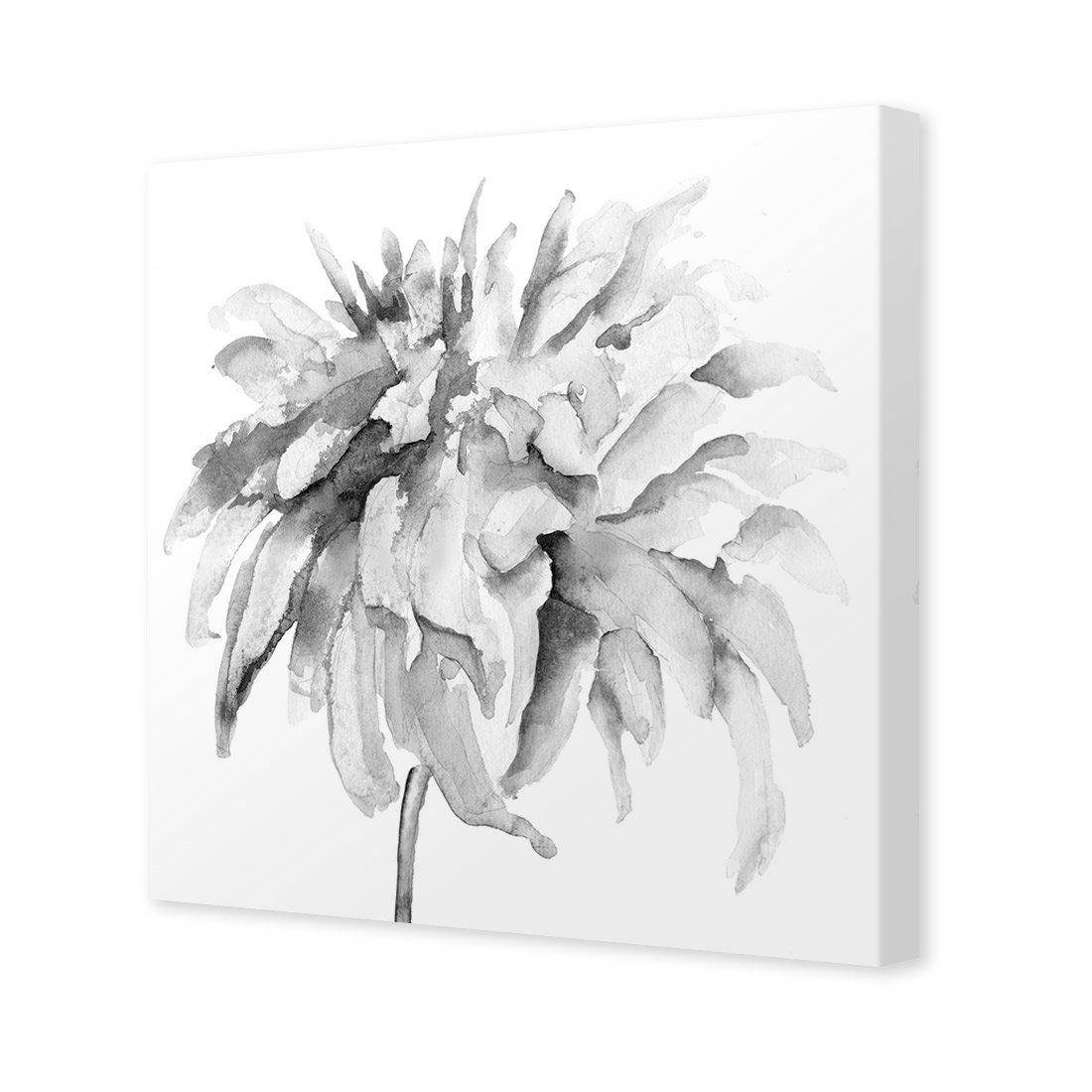Fairy Floss, B&W, Square | Standard Canvas | No Frame | Stretched Canvas