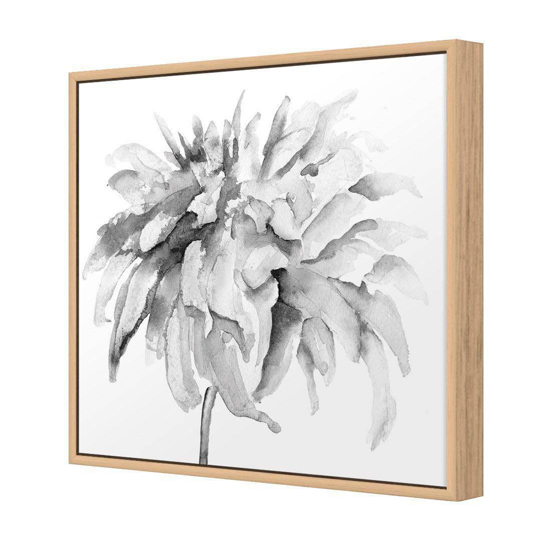 Fairy Floss, B&W, Square Canvas Art - Wall Art Designs - 1737_BS_Q WAD_CP - MPY - 260 - M - S - S_30x30_S - 1550 - OAK