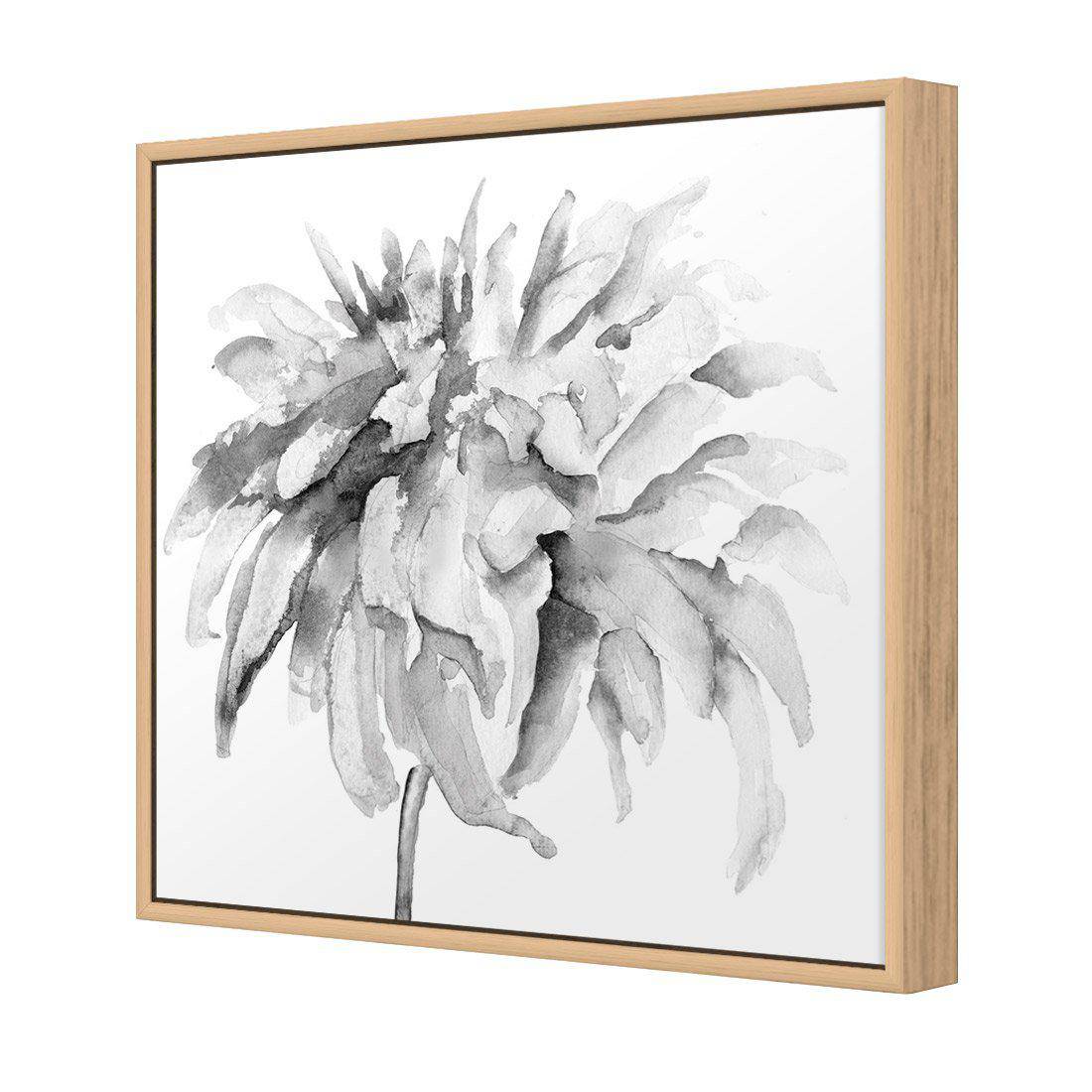 Fairy Floss, B&W, Square | Standard Canvas | Floating Frame | Oak