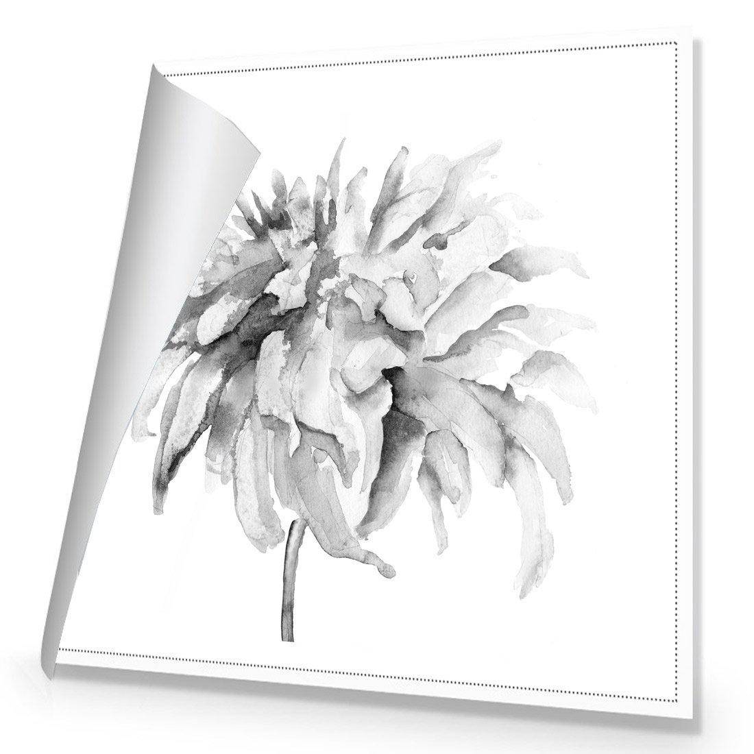 Fairy Floss, B&W, Square | Standard Canvas | No Frame | Rolled Canvas