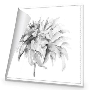 Fairy Floss, B&W, Square | Standard Canvas | No Frame | Rolled Canvas