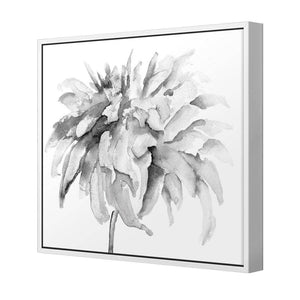 Fairy Floss, B&W, Square | Standard Canvas | Floating Frame | White