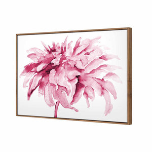 Fairy Floss, Pink | Standard Canvas | Floating Frame | Natural