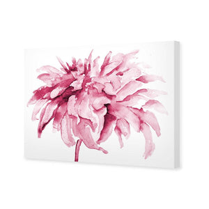 Fairy Floss, Pink | Standard Canvas | No Frame | Stretched Canvas