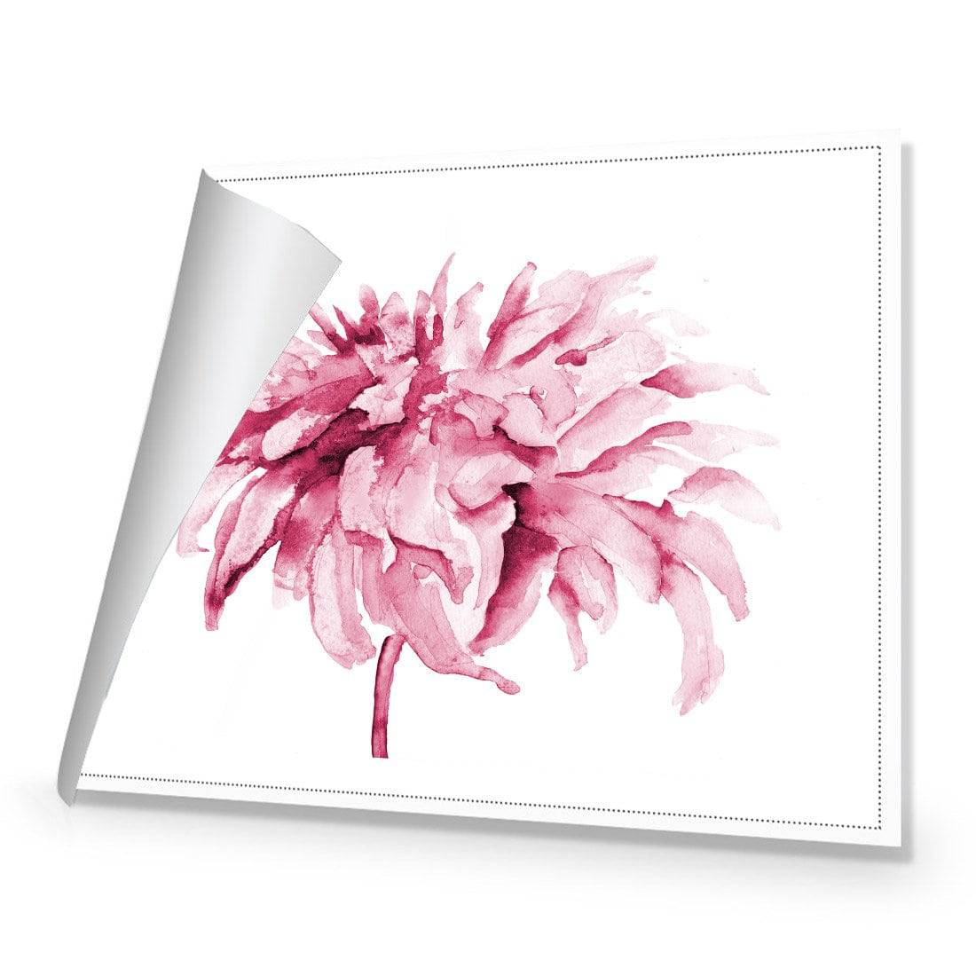 Fairy Floss, Pink