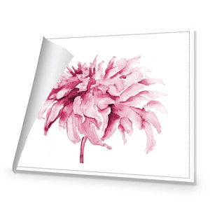 Fairy Floss, Pink