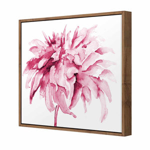 Fairy Floss, Pink Square | Standard Canvas | Floating Frame | Natural