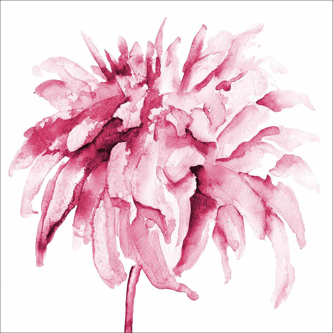 Fairy Floss, Pink Square
