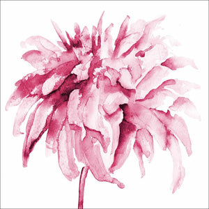 Fairy Floss, Pink Square