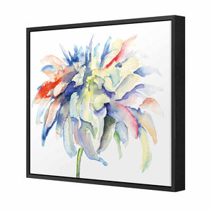 Fairy Floss, Square | Standard Canvas | Floating Frame | Black
