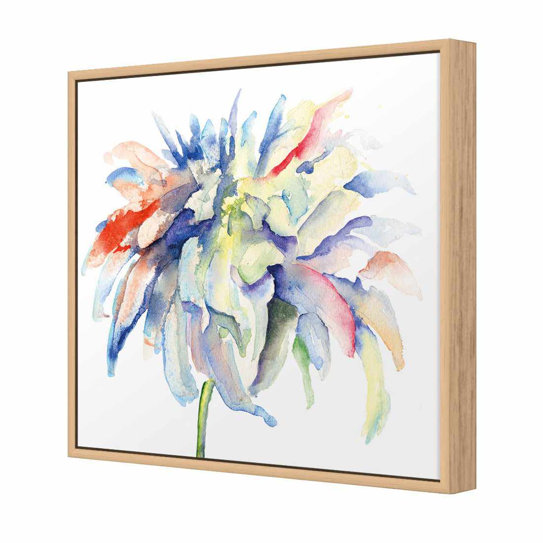 Fairy Floss, Square | Standard Canvas | Floating Frame | Oak