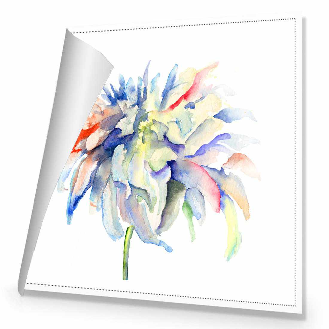 Fairy Floss, Square | Standard Canvas | No Frame | Rolled Canvas