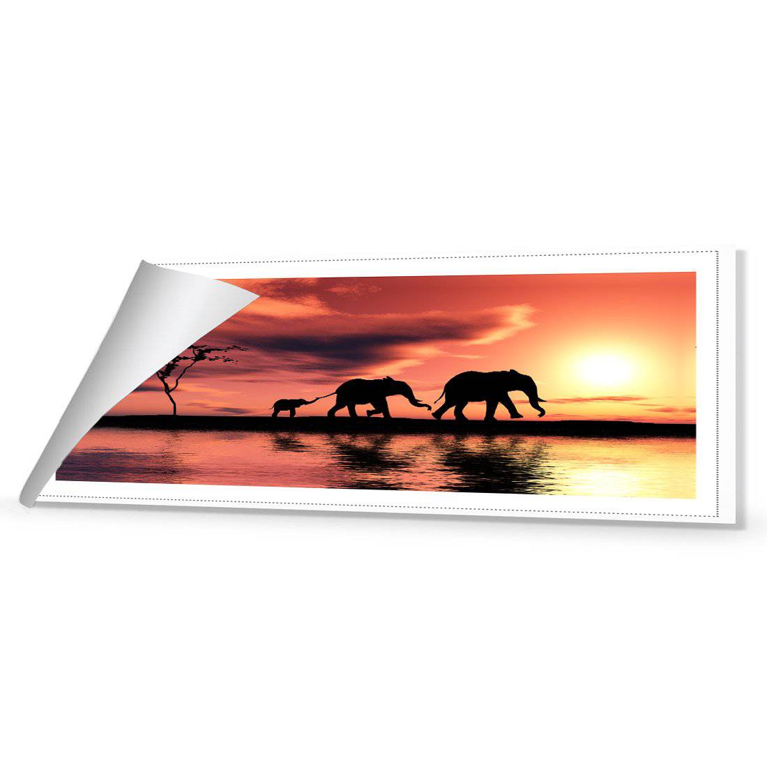 Family of Elephants at Sunset, Long | Standard Canvas | No Frame | Rolled Canvas