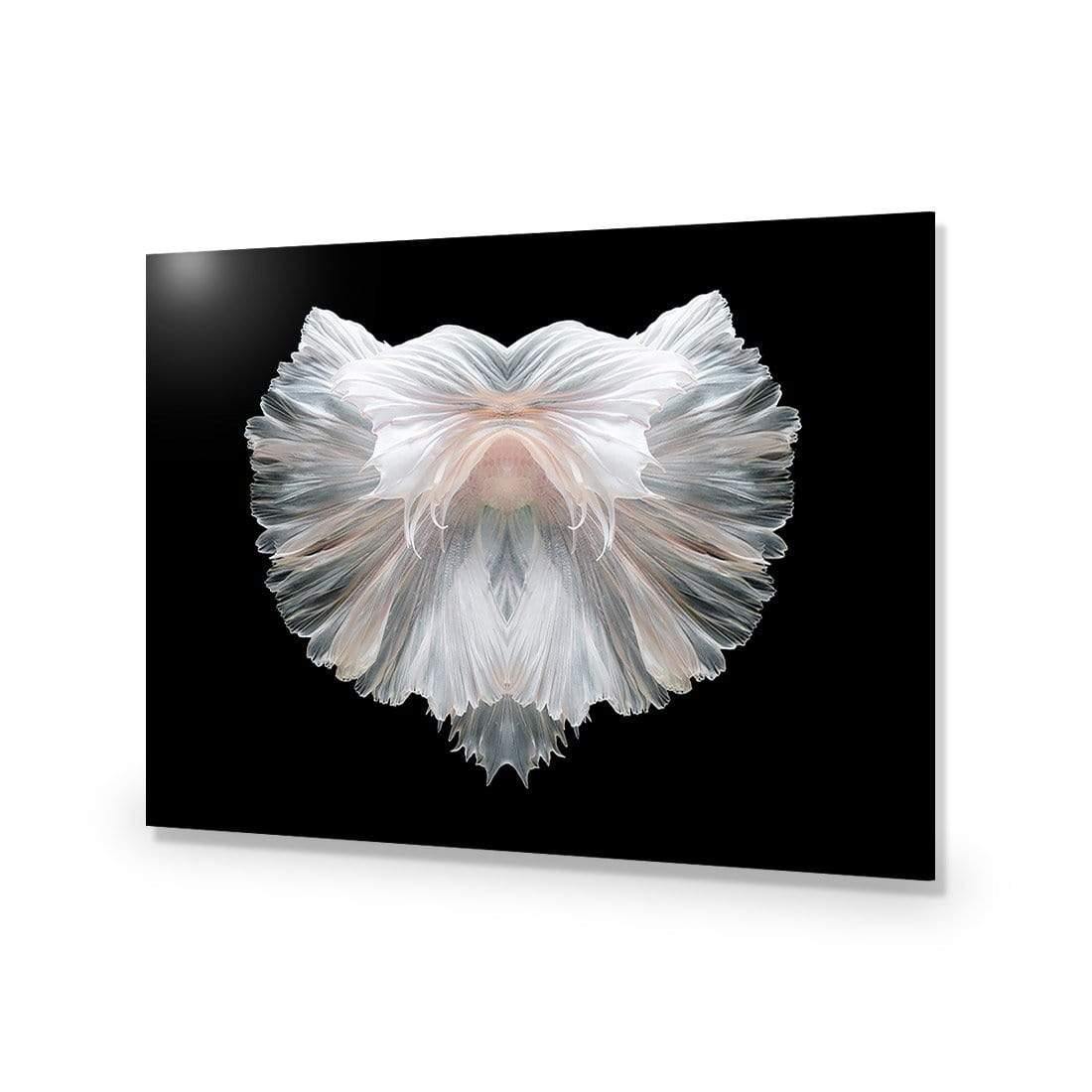 Fan Tails (Landscape) - Wall Art Designs - 3156_AR_H WAD_CP - MPY - 260 - M - S - S_45x30_NONE