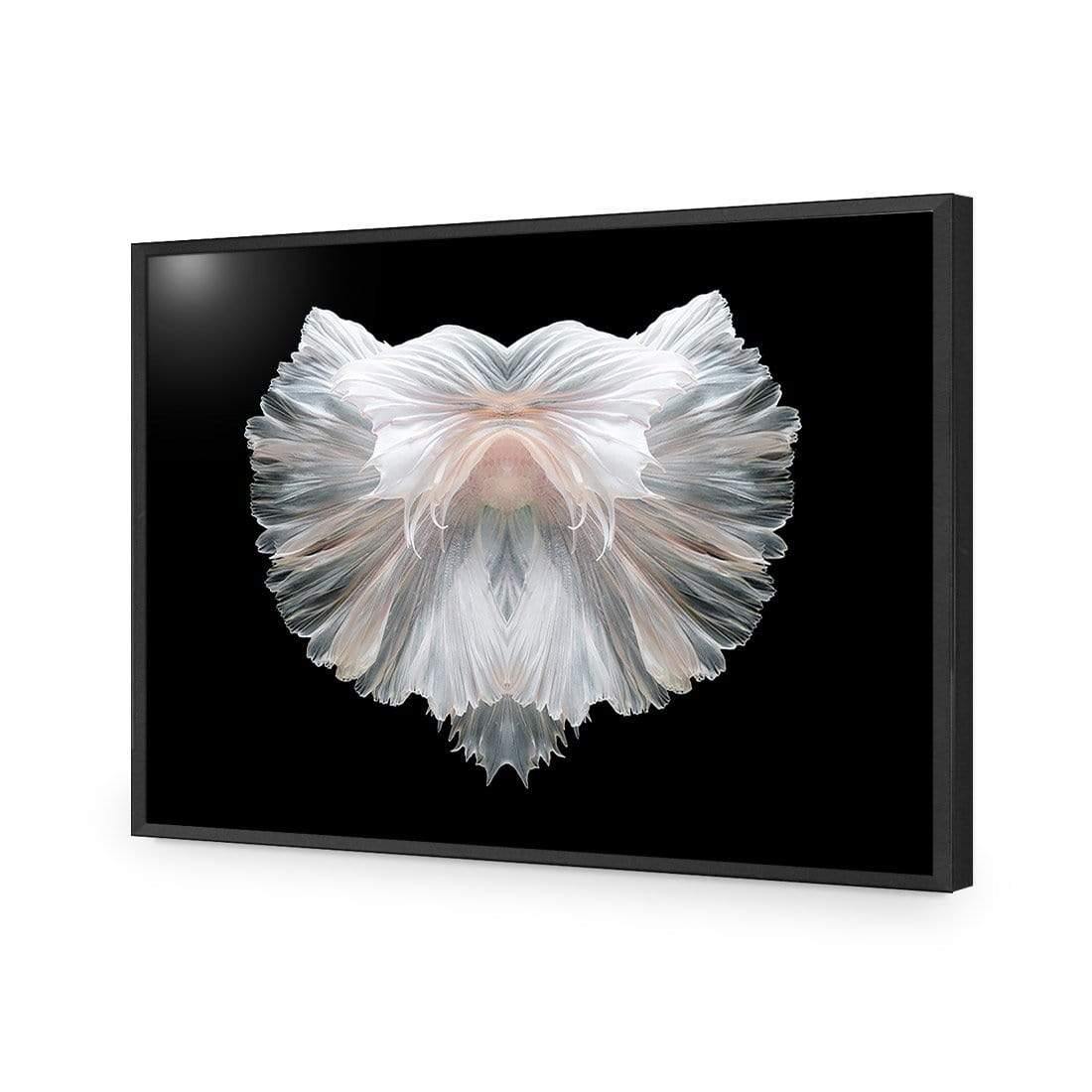 Fan Tails (Landscape) - Wall Art Designs - 3156_AR_H WAD_CP - MPY - 260 - M - S - S_45x30_NONE