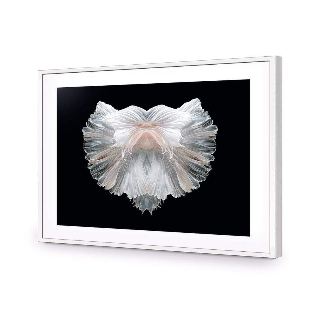 Fan Tails (Landscape) - Wall Art Designs - 3156_AR_H WAD_CP - MPY - 260 - M - S - S_45x30_NONE