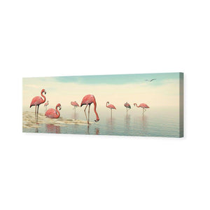 Flamingo Chill | Standard Canvas | No Frame | Stretched Canvas
