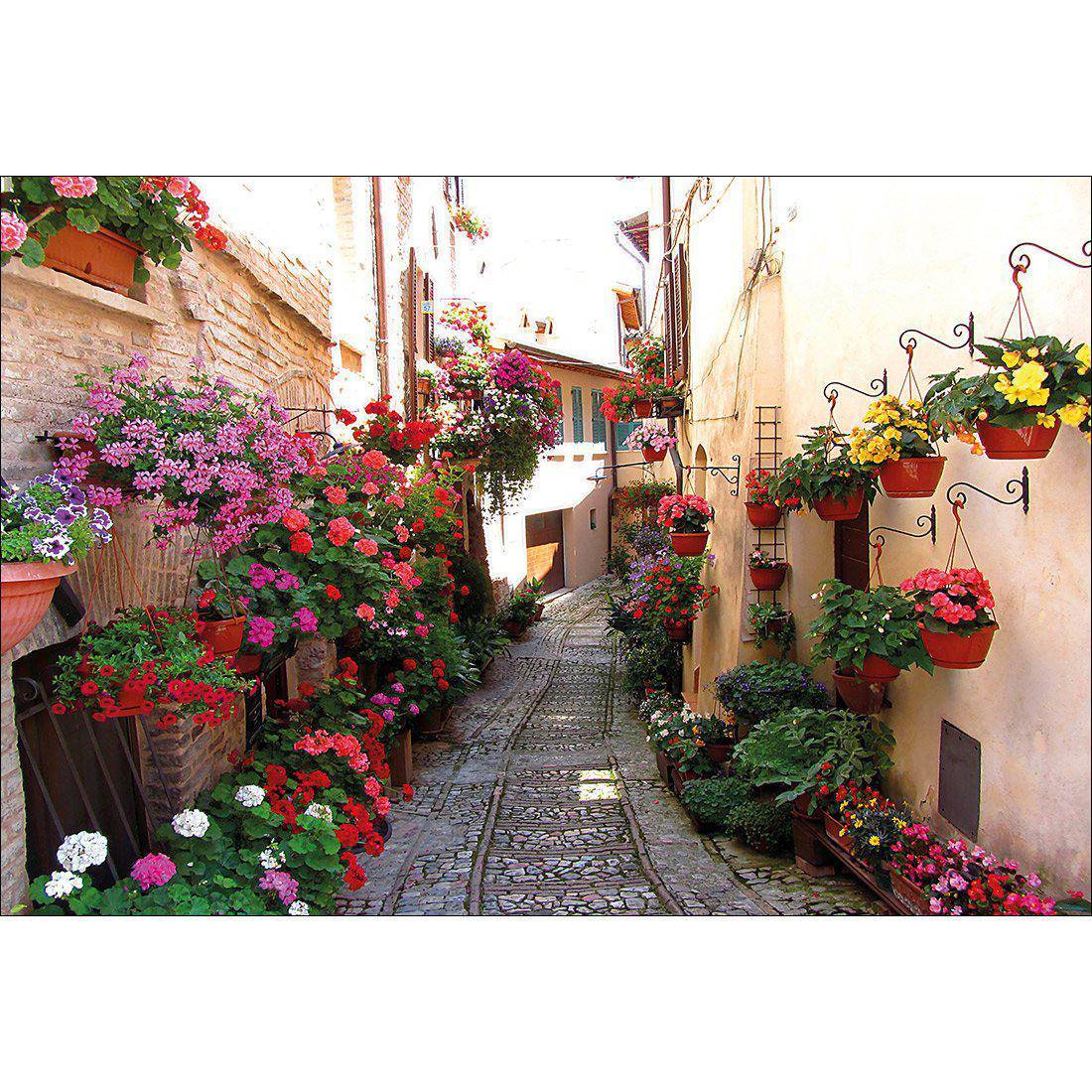 Floral Alley In Italy Canvas Art - Wall Art Designs - 1983_AR_H WAD_CP - MPY - 260 - M - S - S_45x30_NONE