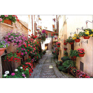 Floral Alley In Italy