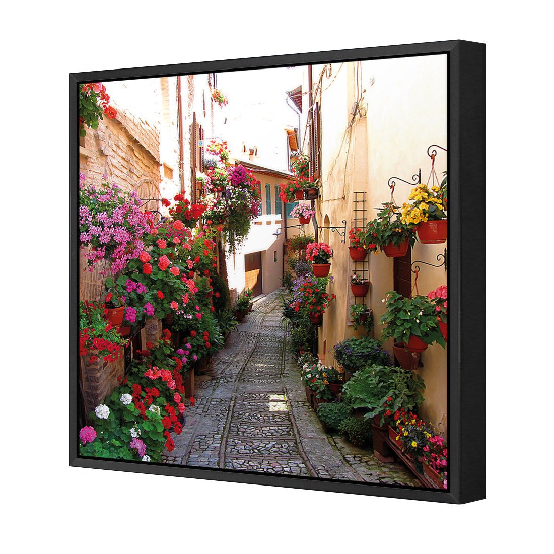 Floral Alley in Italy (square) - Wall Art Designs - 1983_AS_Q WAD_CP - MPY - 260 - M - S - S_37x37_NONE