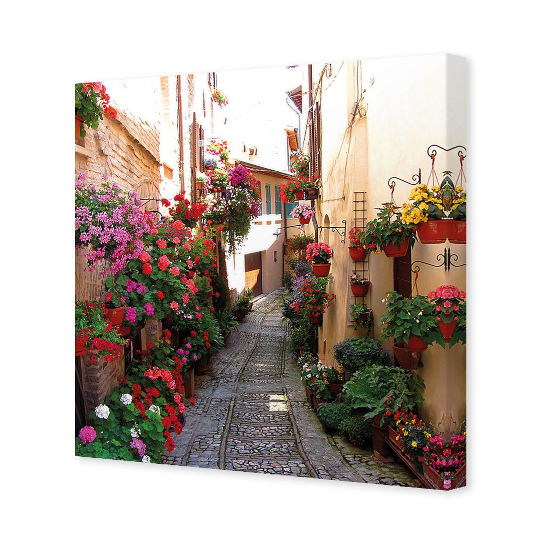 Floral Alley in Italy (square) - Wall Art Designs - 1983_AS_Q WAD_CP - MPY - 260 - M - S - S_37x37_NONE