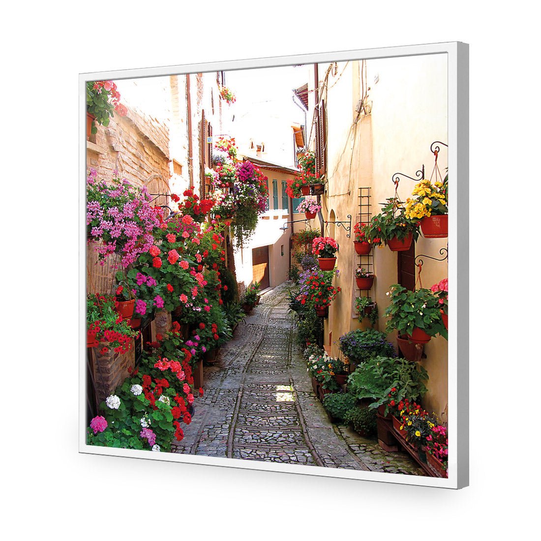 Floral Alley in Italy (square) - Wall Art Designs - 1983_AS_Q WAD_CP - MPY - 260 - M - S - S_37x37_NONE