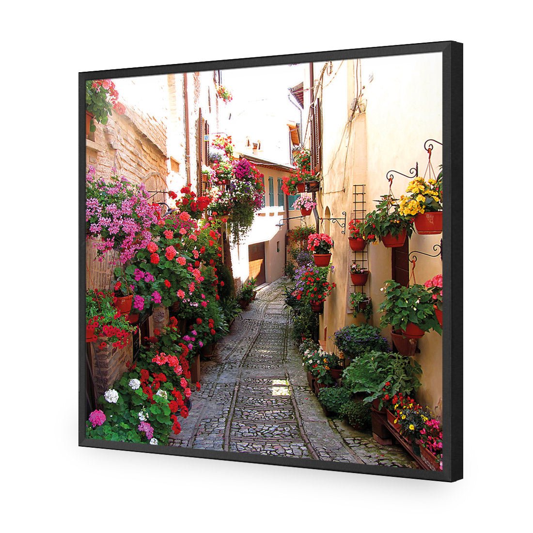 Floral Alley in Italy (square) - Wall Art Designs - 1983_AS_Q WAD_CP - MPY - 260 - M - S - S_37x37_NONE