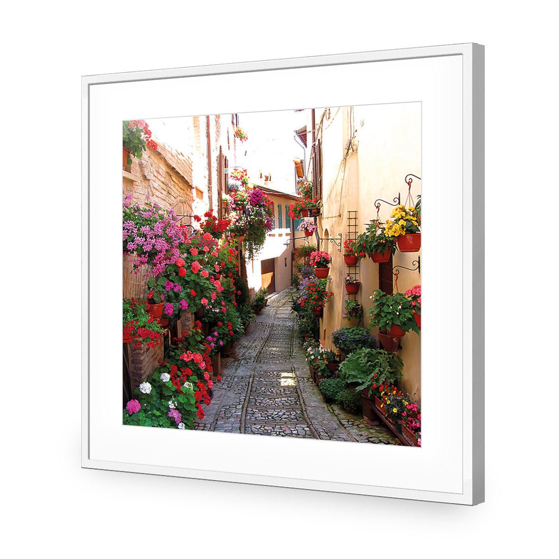 Floral Alley in Italy (square) - Wall Art Designs - 1983_AS_Q WAD_CP - MPY - 260 - M - S - S_37x37_NONE