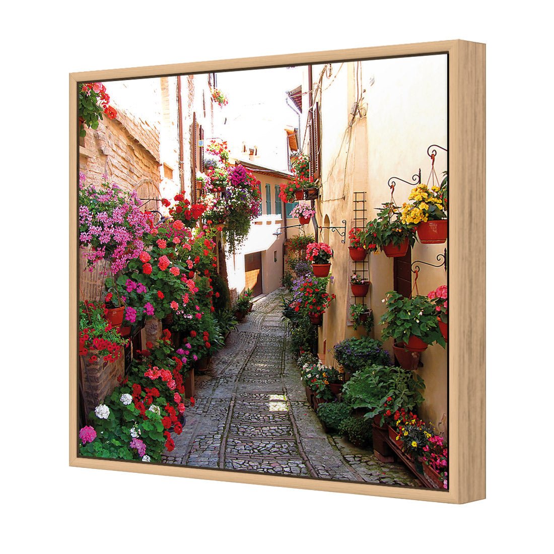 Floral Alley in Italy (square) - Wall Art Designs - 1983_AS_Q WAD_CP - MPY - 260 - M - S - S_37x37_NONE