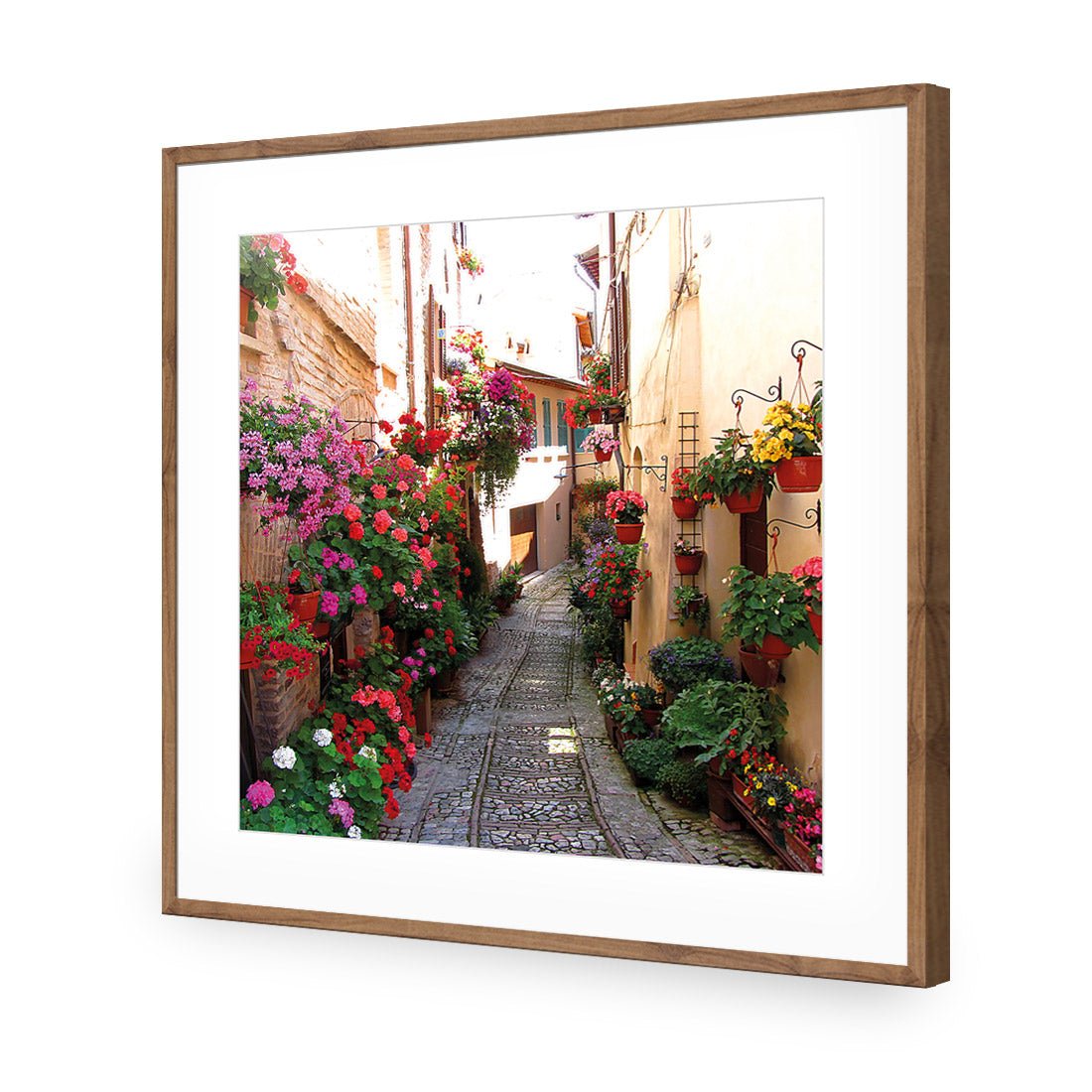 Floral Alley in Italy (square) - Wall Art Designs - 1983_AS_Q WAD_CP - MPY - 260 - M - S - S_37x37_NONE