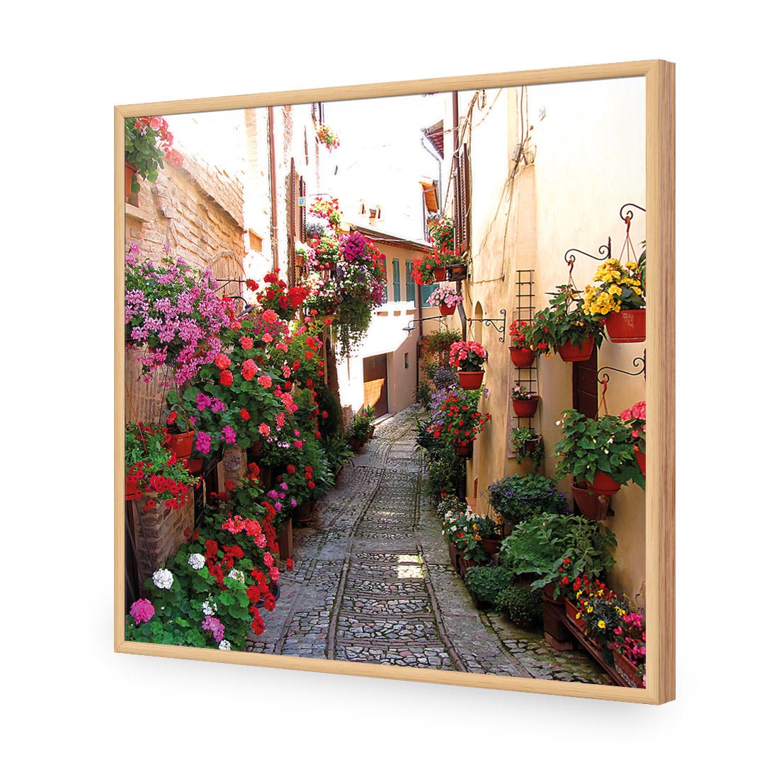 Floral Alley in Italy (square) - Wall Art Designs - 1983_AS_Q WAD_CP - MPY - 260 - M - S - S_37x37_NONE