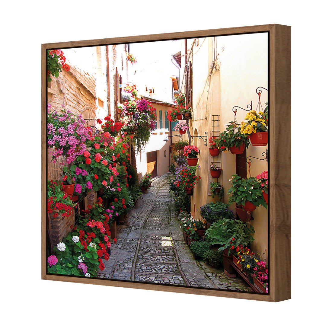 Floral Alley in Italy (square) - Wall Art Designs - 1983_AS_Q WAD_CP - MPY - 260 - M - S - S_37x37_NONE