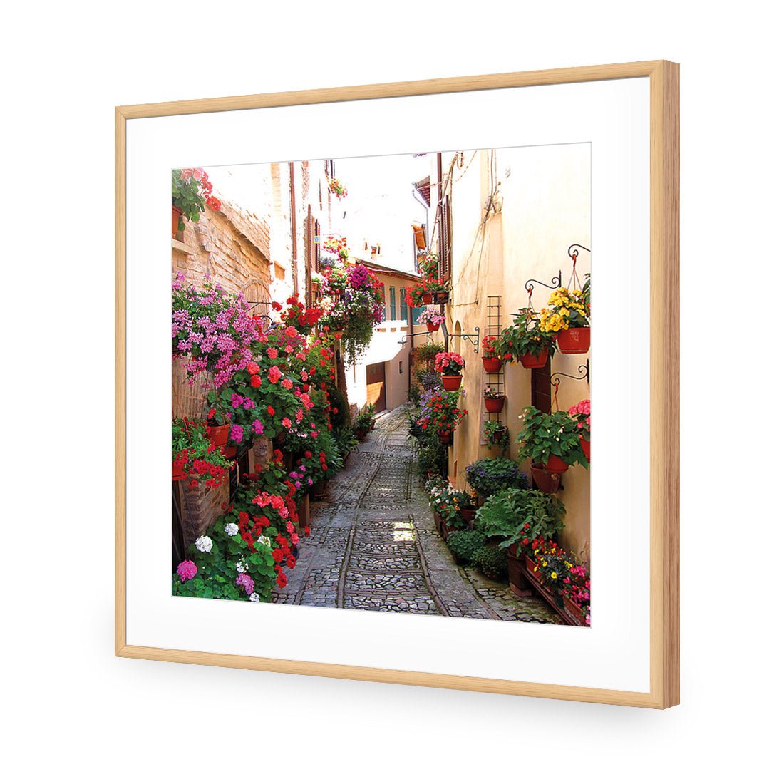 Floral Alley in Italy (square) - Wall Art Designs - 1983_AS_Q WAD_CP - MPY - 260 - M - S - S_37x37_NONE