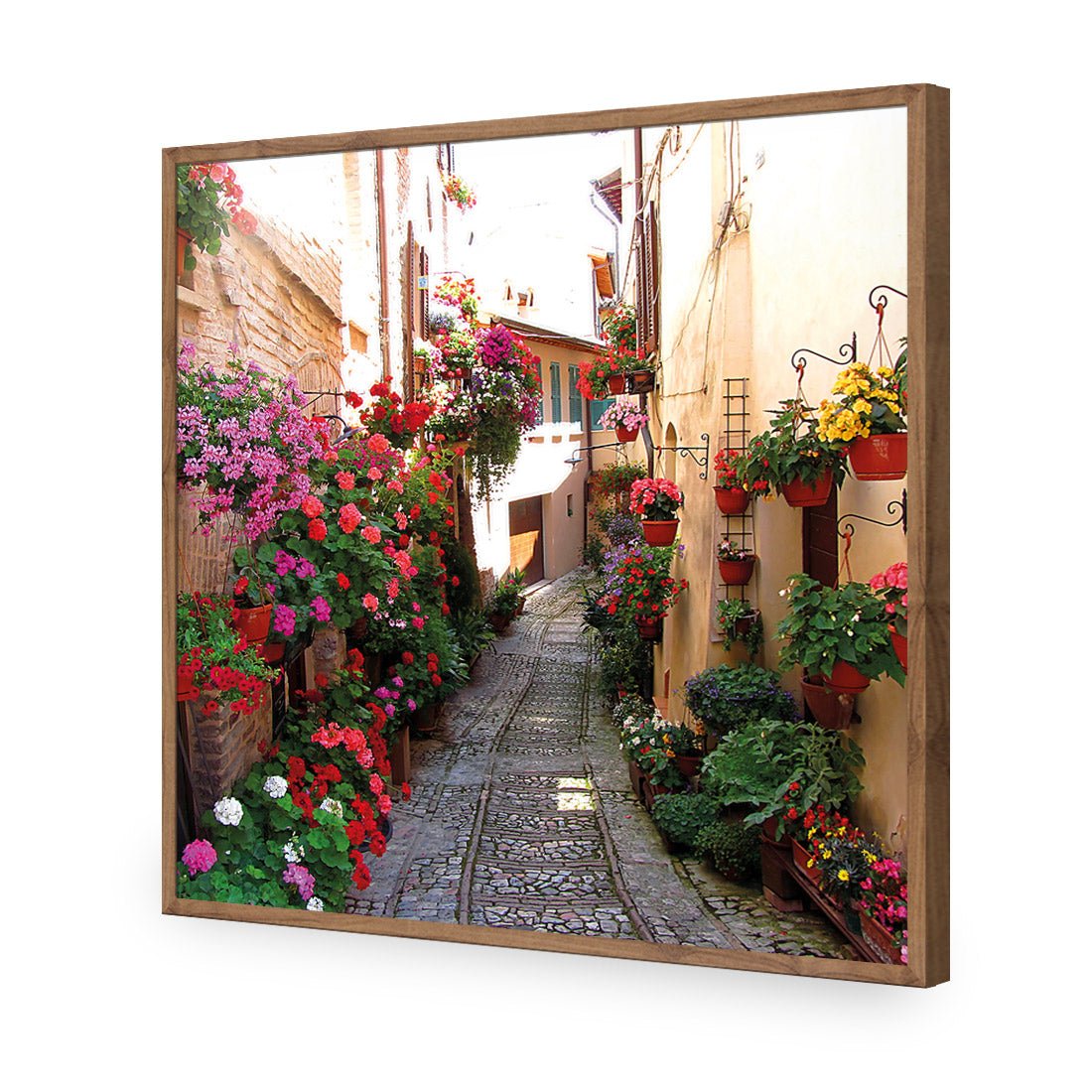 Floral Alley in Italy (square) - Wall Art Designs - 1983_AS_Q WAD_CP - MPY - 260 - M - S - S_37x37_NONE