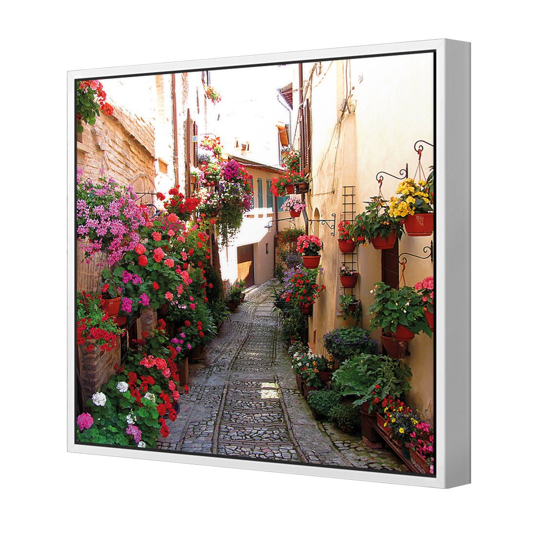 Floral Alley in Italy (square) - Wall Art Designs - 1983_AS_Q WAD_CP - MPY - 260 - M - S - S_37x37_NONE