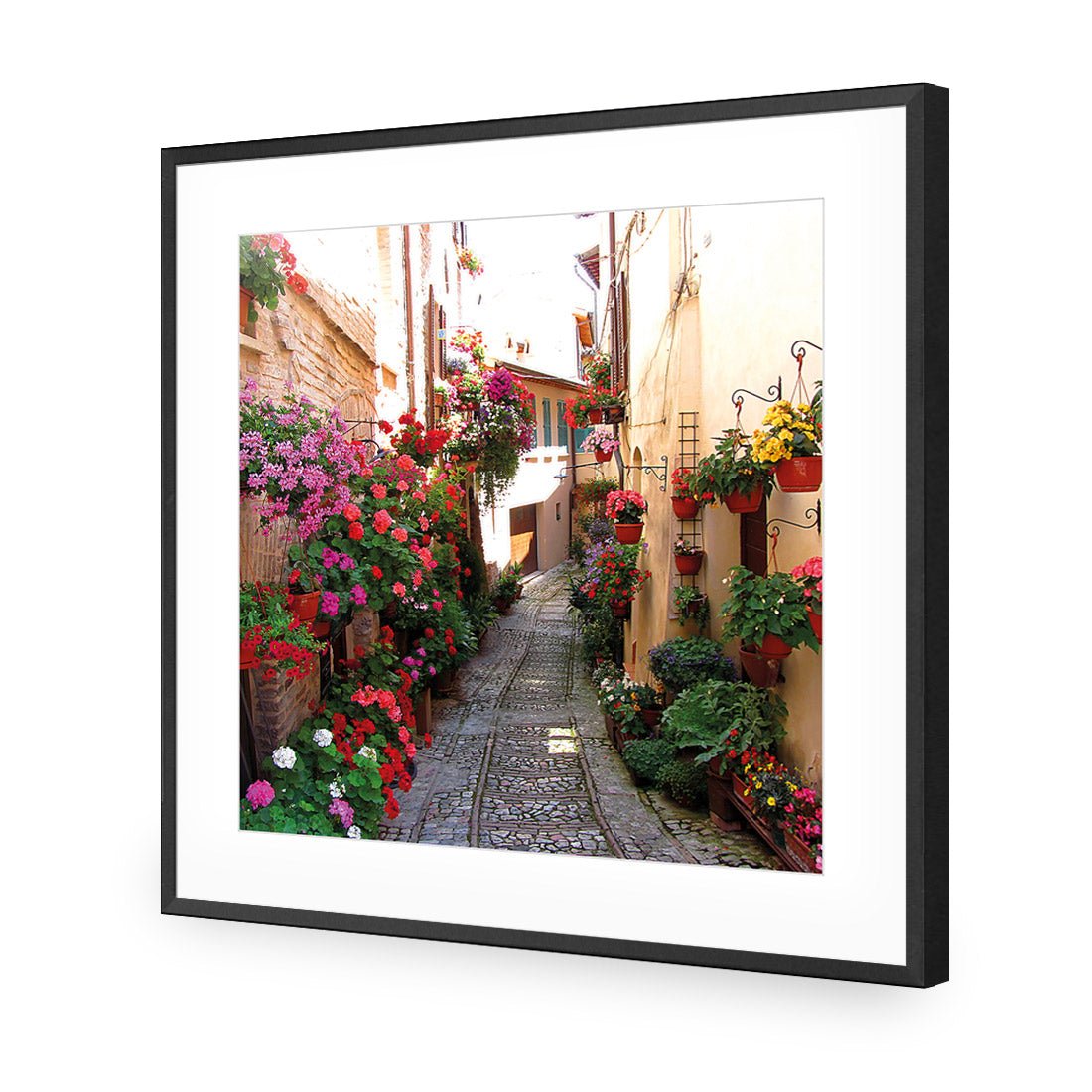 Floral Alley in Italy (square) - Wall Art Designs - 1983_AS_Q WAD_CP - MPY - 260 - M - S - S_37x37_NONE